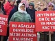 MADEN ŞİRKETLERİ DOĞAYI KATLETMEYE DEVAM EDİYORLAR